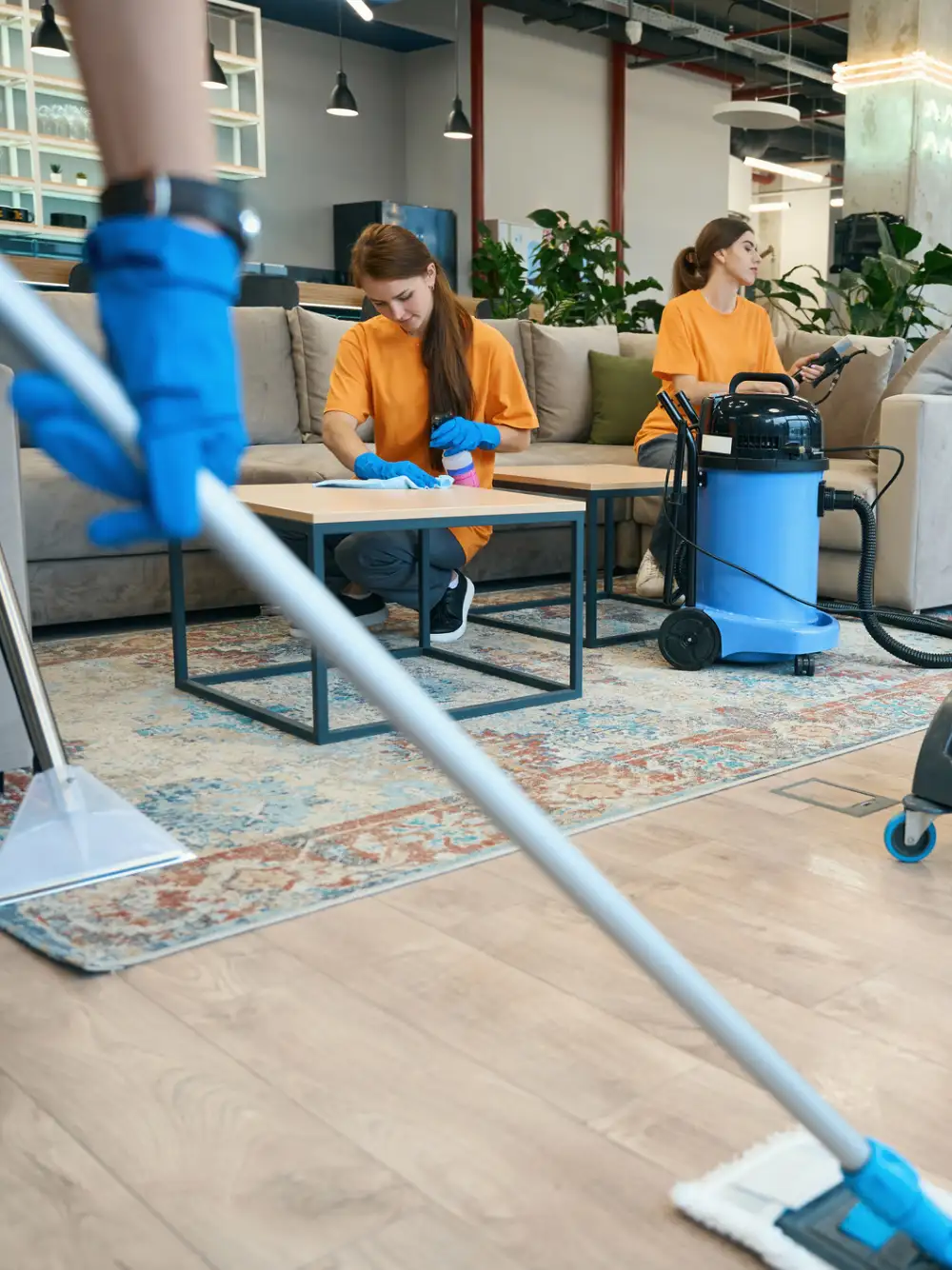 Professional Commercial Cleaning Services Professional Commercial Cleaning Services